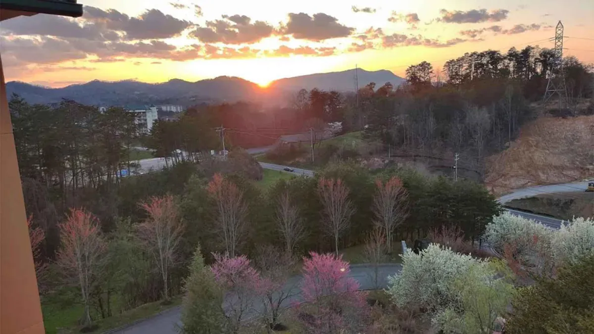 A sweeping view of a sunset over the mountains, with blooming flowers, tree-lined surroundings, and a winding road leading into the landscape. The serene setting hints at local adventures and the natural beauty surrounding the resort.